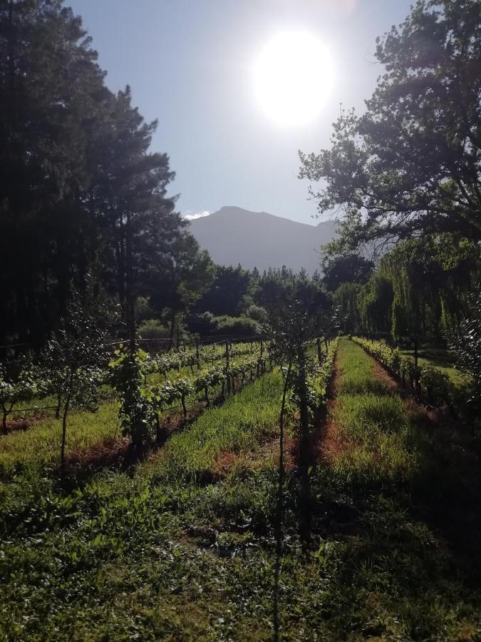 Cabernet Cottage Be Still And Know Franschhoek Ngoại thất bức ảnh