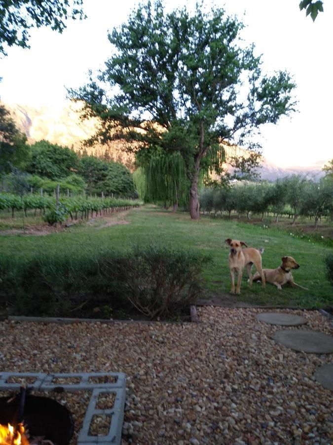 Cabernet Cottage Be Still And Know Franschhoek Ngoại thất bức ảnh