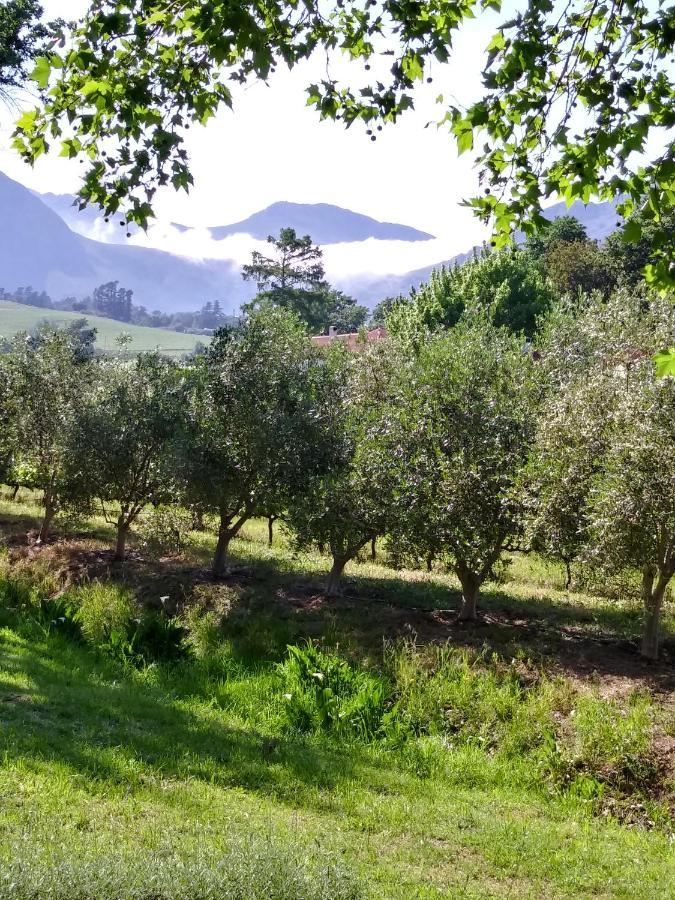 Cabernet Cottage Be Still And Know Franschhoek Ngoại thất bức ảnh