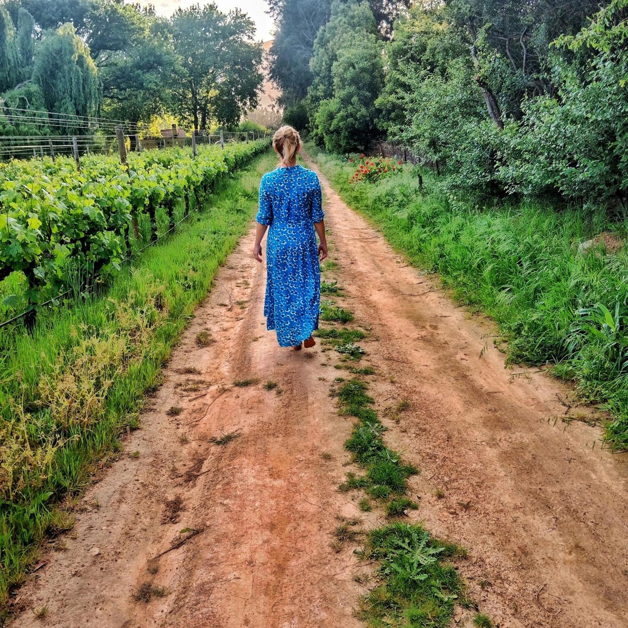 Cabernet Cottage Be Still And Know Franschhoek Ngoại thất bức ảnh